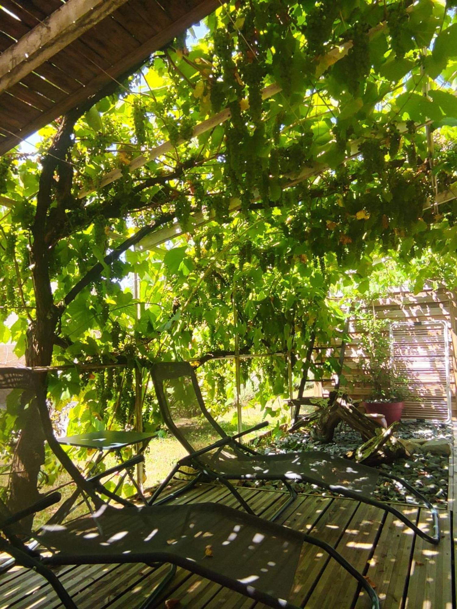 Le Tilleul Sarlat-la-Caneda Ngoại thất bức ảnh